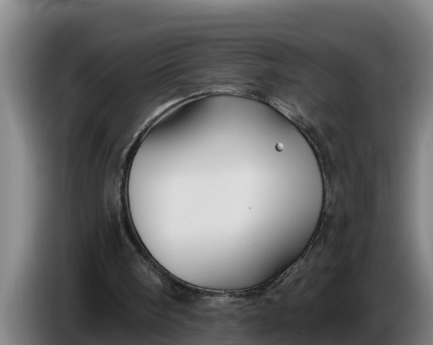 X0000086320098200704202030