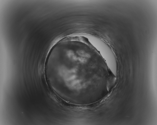 X0000086320099200704202030