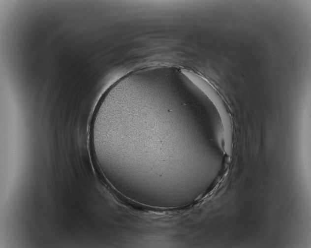 X0000086320100200704202030