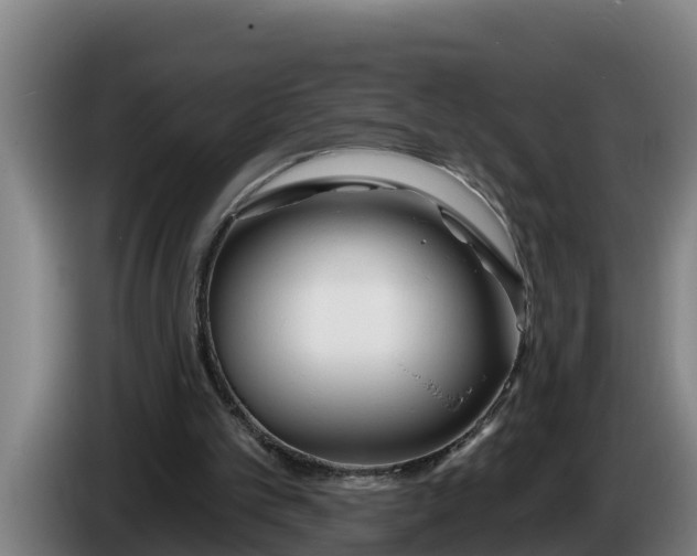 X0000086320101200704202030