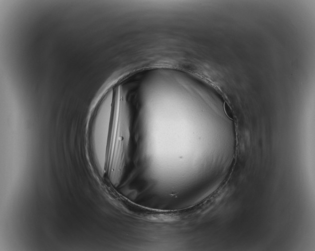 X0000086320102200704202030