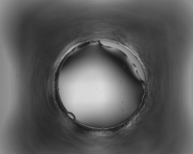 X0000086320103200704202030