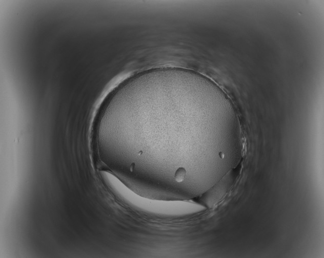 X0000086320104200704202030