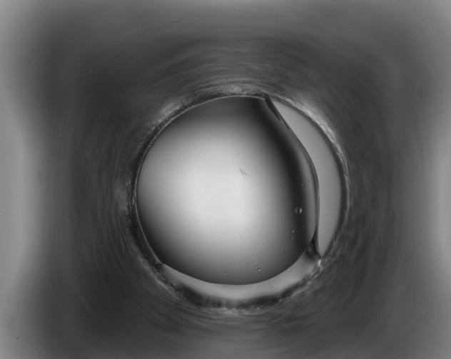 X0000086320105200704202029