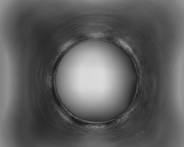 X0000086320106200704202029