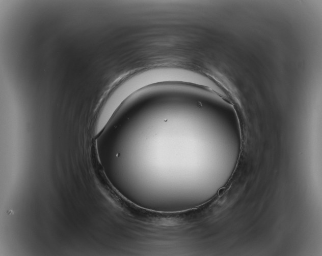 X0000086320107200704202029