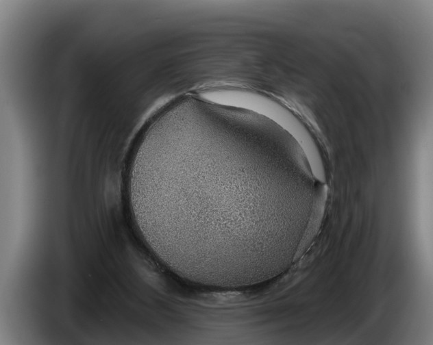 X0000086320108200704202029