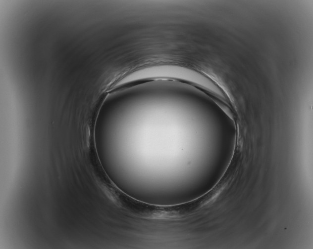 X0000086320109200704202029
