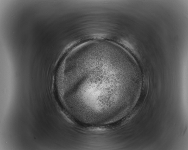 X0000086320110200704202029