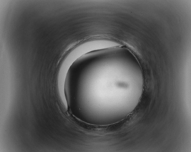 X0000086320111200704202029