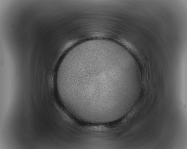 X0000086320112200704202029