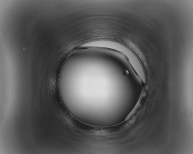 X0000086320113200704202029