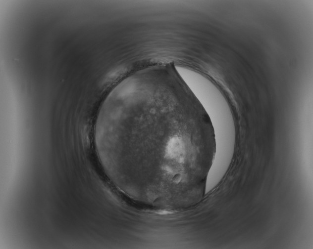 X0000086320114200704202029