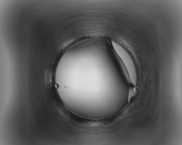 X0000086320115200704202029