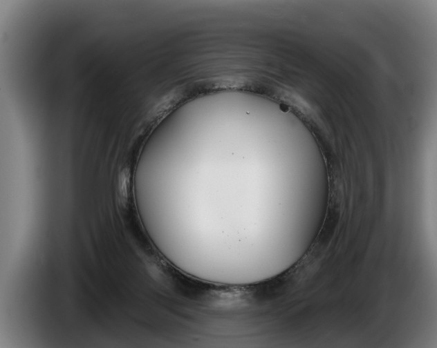 X0000086320118200704202029