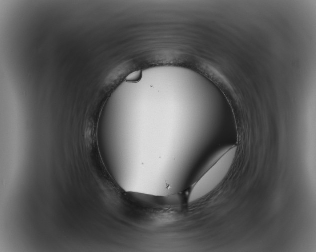 X0000086320119200704202029