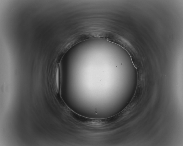 X0000086320121200704202029