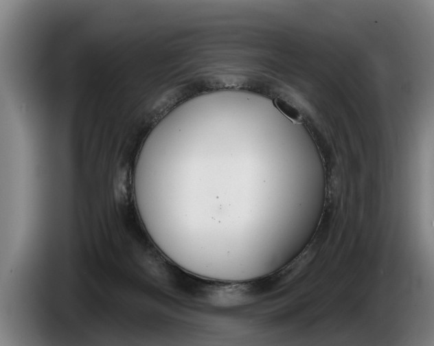 X0000086320122200704202029