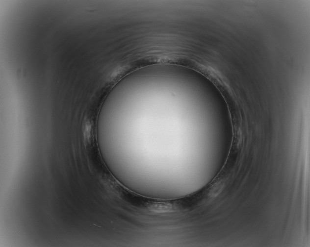 X0000086320123200704202029