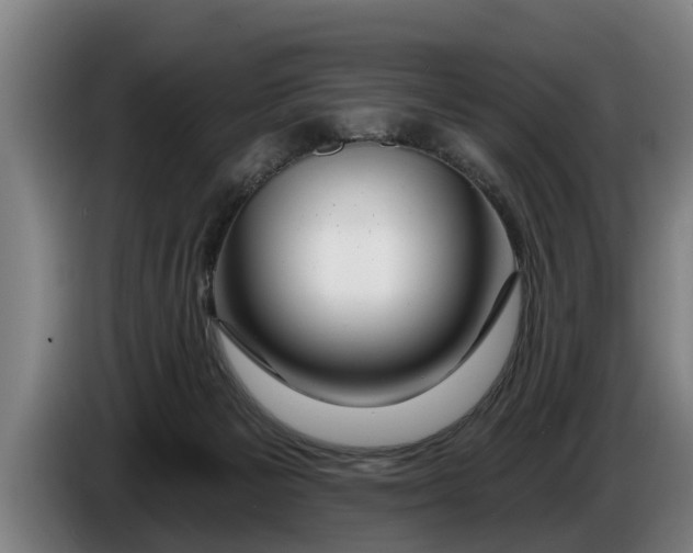 X0000086320125200704202029