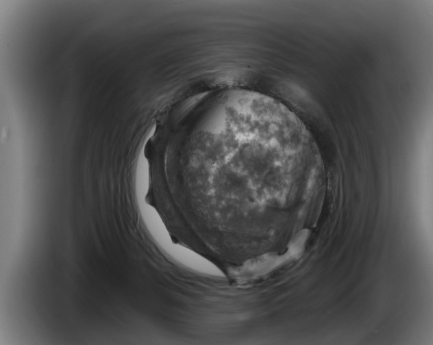 X0000086320127200704202029