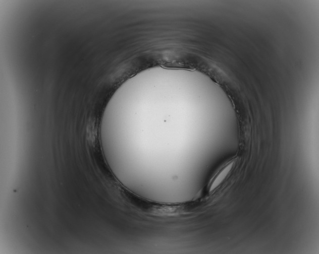 X0000086320129200704202029