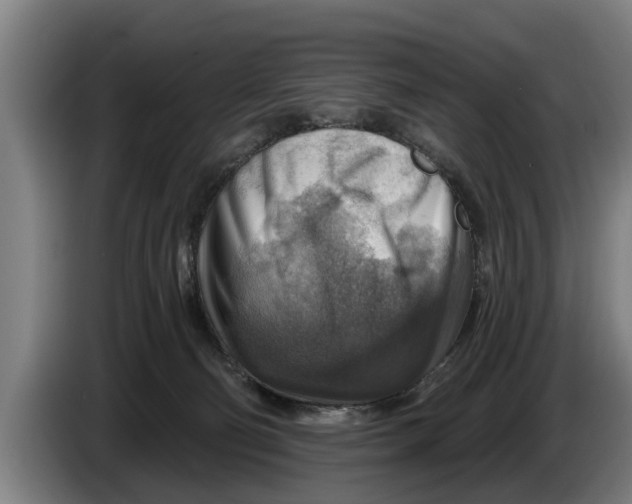 X0000086320130200704202029