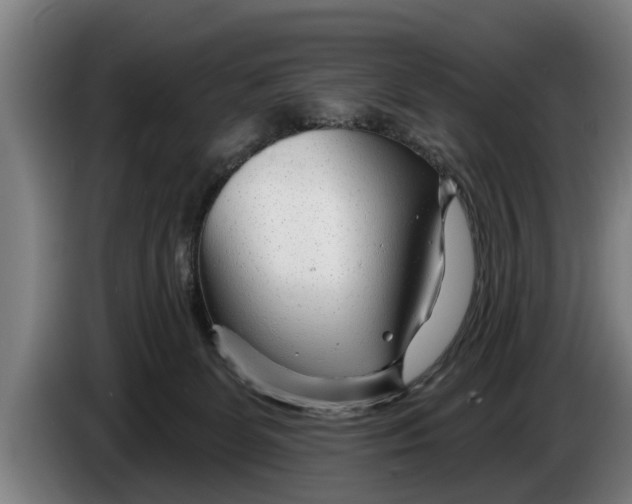 X0000086320131200704202029