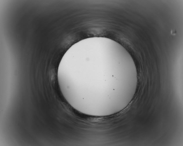 X0000086320132200704202029