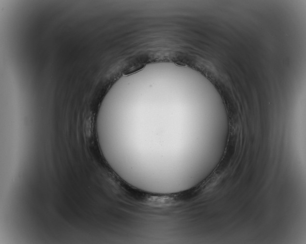 X0000086320133200704202029
