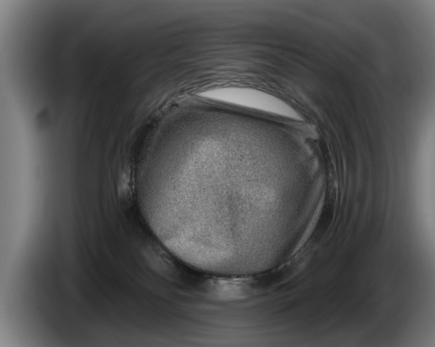 X0000086320134200704202029