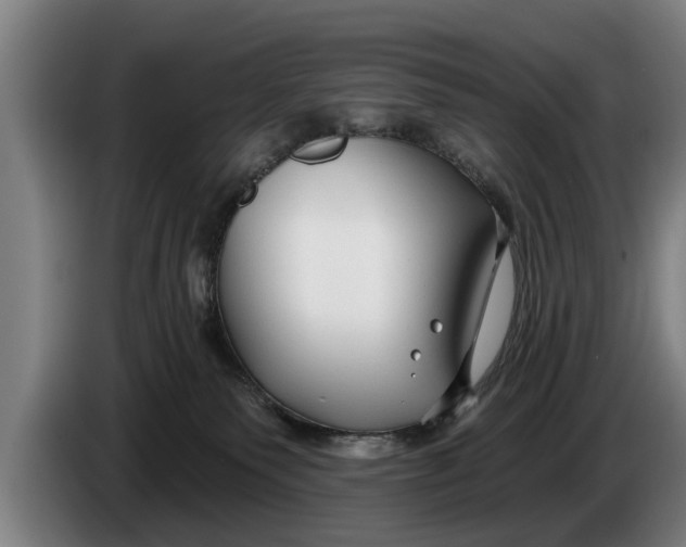 X0000086320135200704202029