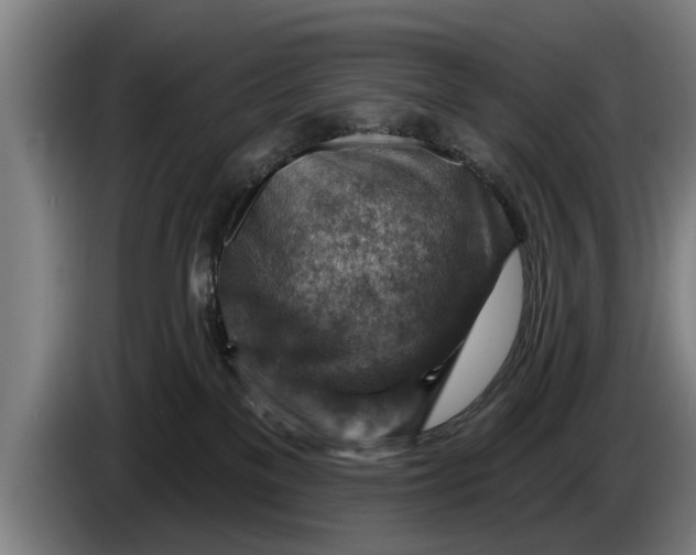 X0000086320137200704202029