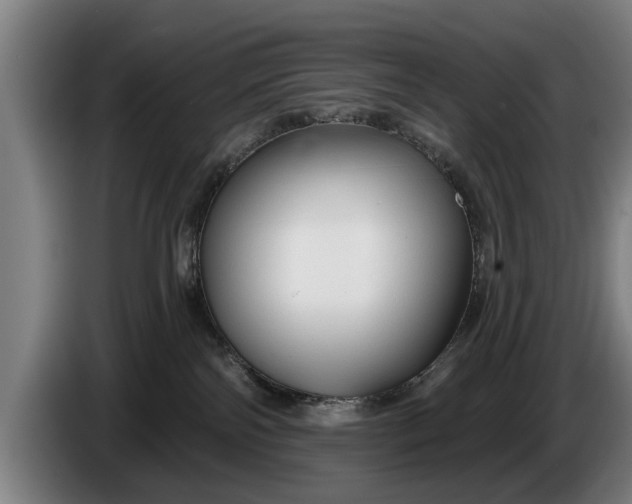 X0000086320138200704202029