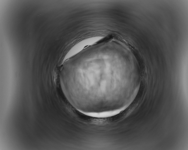 X0000086320139200704202029