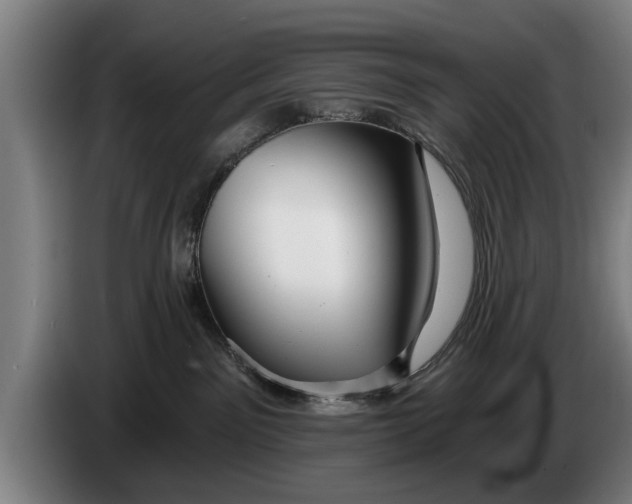 X0000086320141200704202029