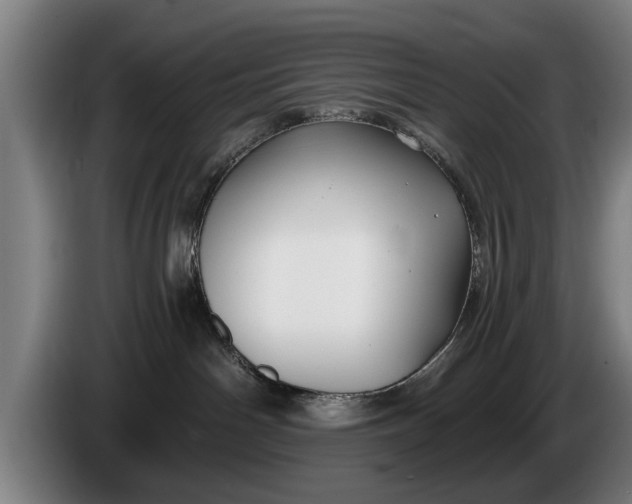 X0000086320142200704202029