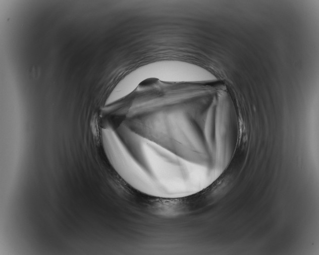 X0000086320143200704202029