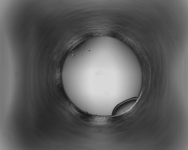 X0000086320144200704202029