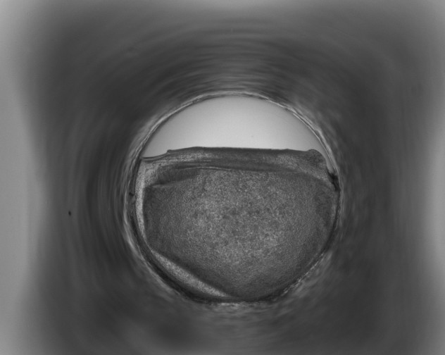 X0000086320145200704202028