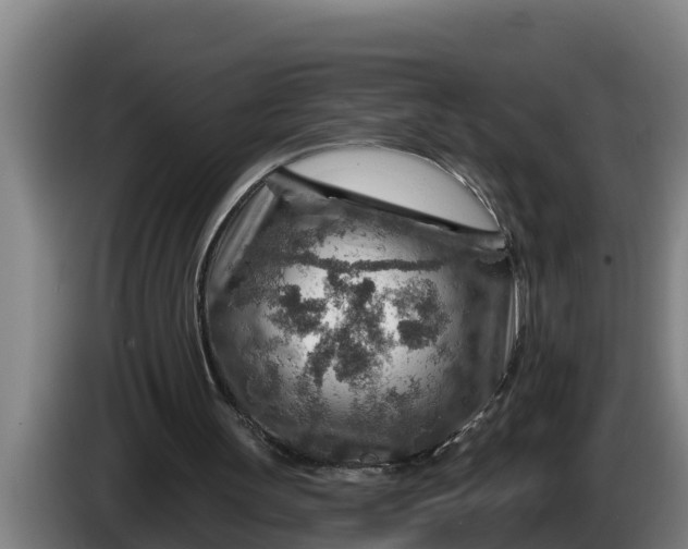 X0000086320147200704202028