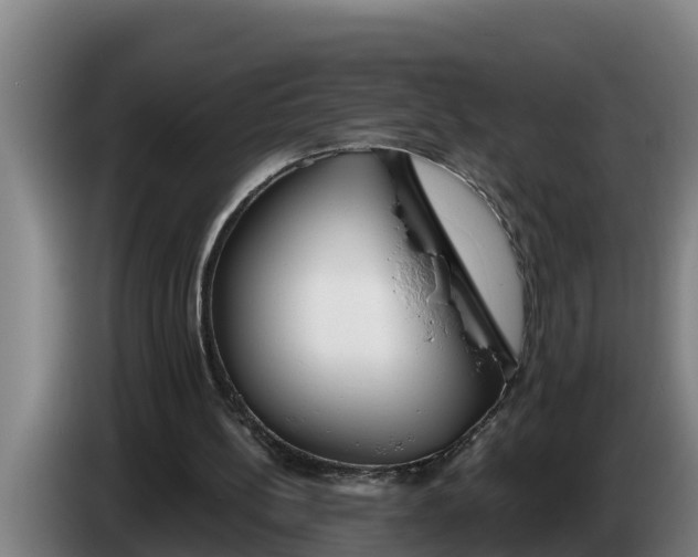 X0000086320148200704202028