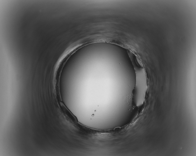 X0000086320150200704202028