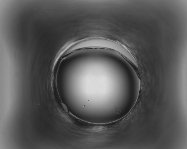 X0000086320152200704202028