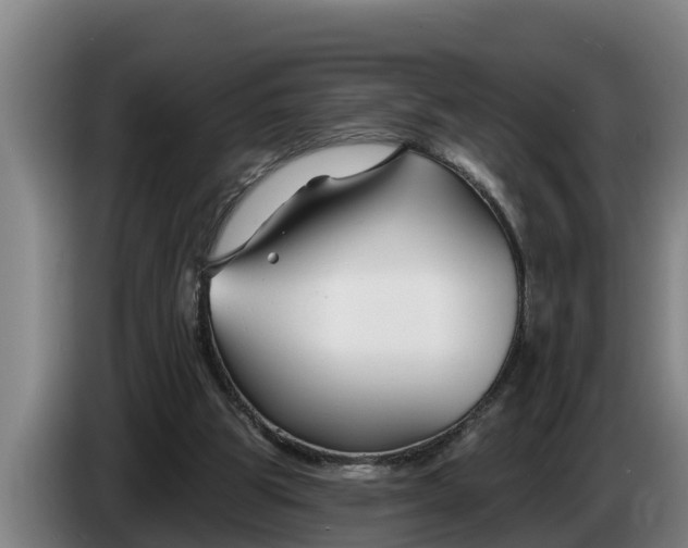 X0000086320153200704202028
