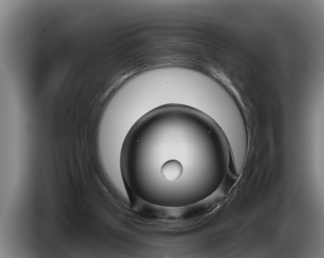 X0000086320154200704202029