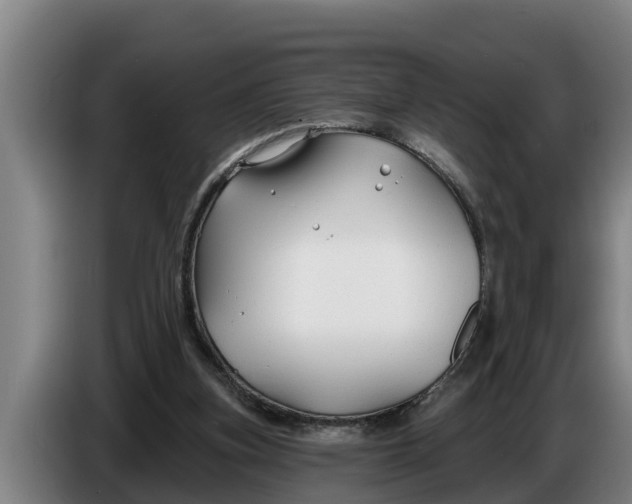 X0000086320155200704202029