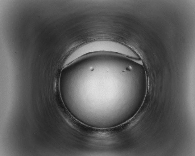 X0000086320157200704202029