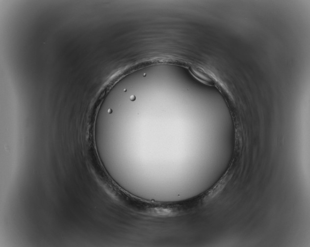 X0000086320159200704202029