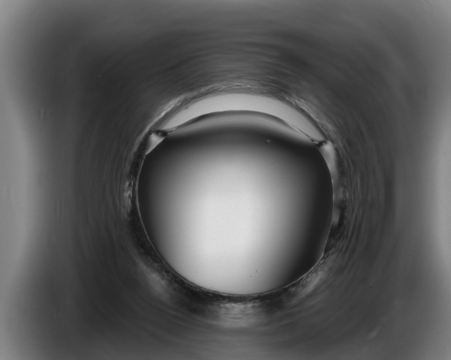 X0000086320160200704202029